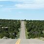 Camino de Los Montoyas (N. of NM-599)