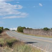 Galisteo - Camino Los Abuelos (Central Portion)
