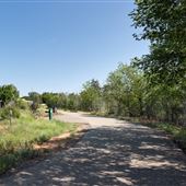 Acequia Trail @ Potencia Street