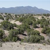 Top of Cerrillos Ranch