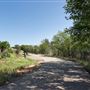 Acequia Trail @ Potencia Street