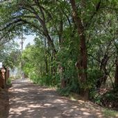 Acequia Trail @ Baca Street