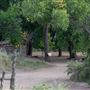 El Rancho De Las Golondrinas - Blacksmith Shop (Main Tour #27)