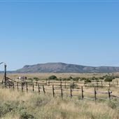 Galisteo - Ave Vieja