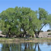 La Mesita Ranch Estate - Pond