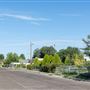 Alamosa Drive