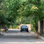 Dolores St (Guadalupe area)