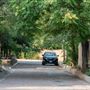 Dolores St (Guadalupe area)
