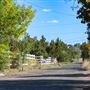 Mimbres Lane