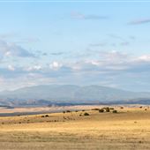 NM-41 - Central (Galisteo)