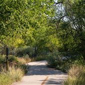 Acequia Trail @ Otowi Road & San Jose Avenue