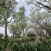 Turquoise Six Arts Ranch