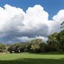 Patrick Smith Park