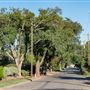 E. Coronado Rd (South Capital)