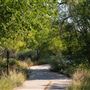 Acequia Trail @ Otowi Road & San Jose Avenue