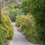 Cerro Gordo Road