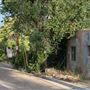 Lopez Street