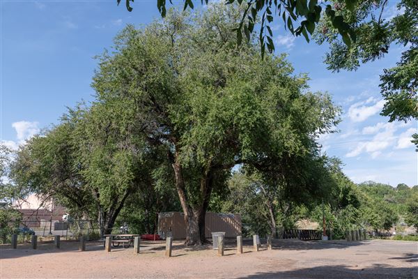 Fort Marcy Park - Baseball Field