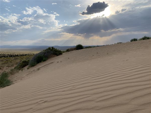 Location Image 4