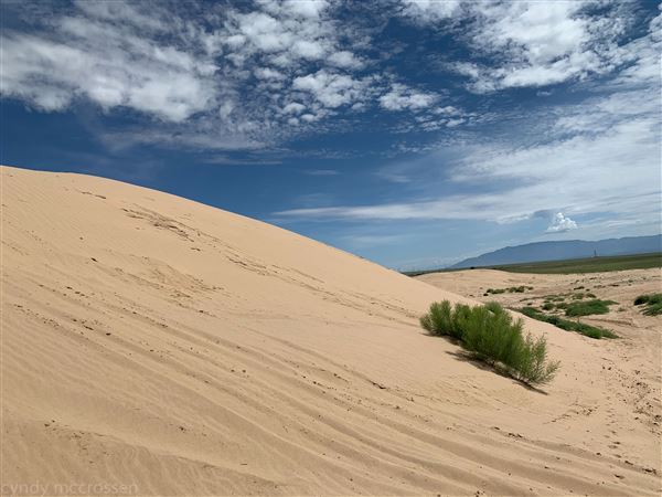Pajarito Sand Dunes