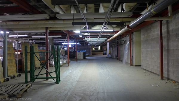 Cinelease Basement