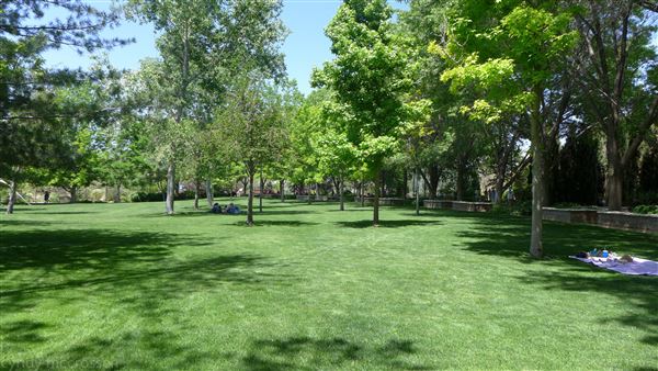 ABQ BioPark - Lawn