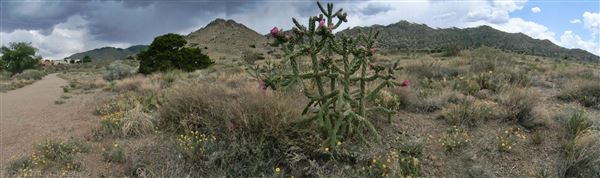 Location Image 5