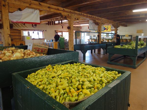 WAGNER FARMS