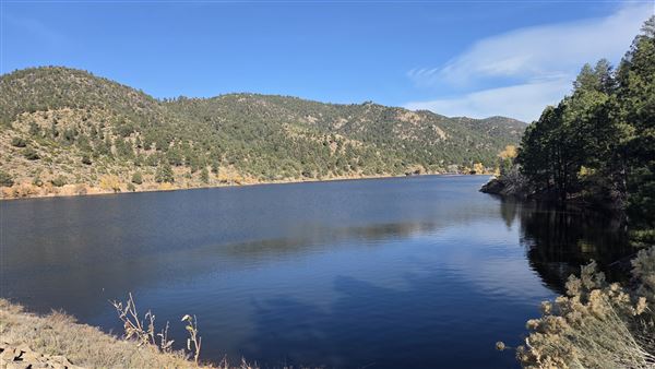 Location Image 4