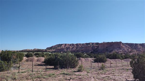 Location Image 5