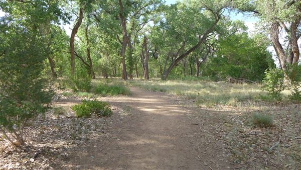 Location Image 3