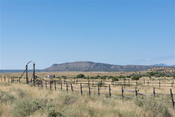 Galisteo - Ave Vieja