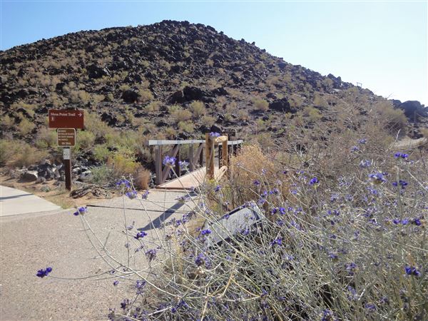 Location Image 3