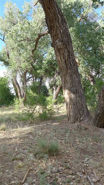 Location Image 4