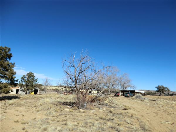 Location Image 5