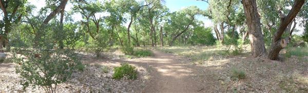 Location Image 5