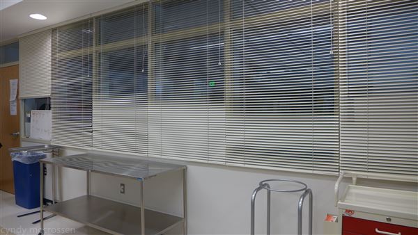 Location Image 2