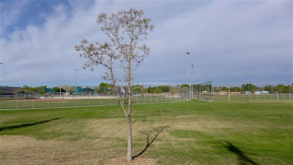 Location Image 4