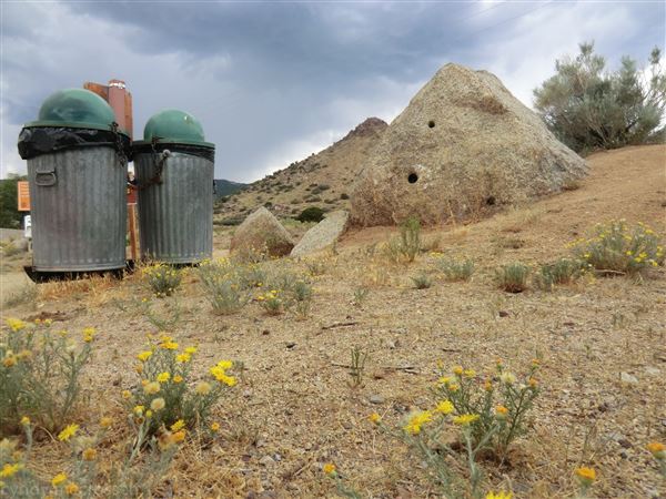 Location Image 2