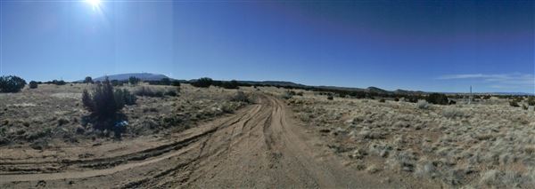 Diamond Tail Ranch