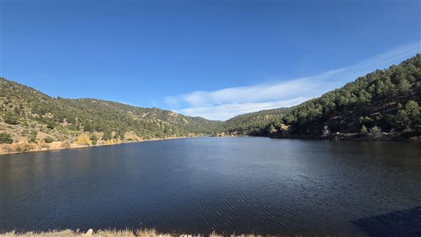 Nichols Dam